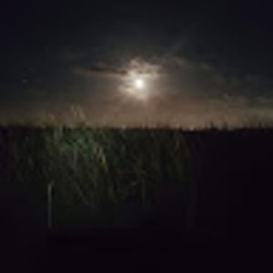 Meet your Posher, Leo